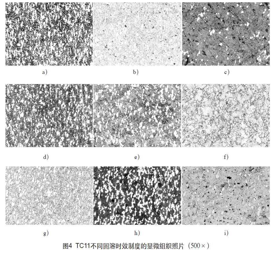 1616340233333724.jpg 4.jpg