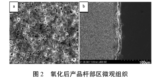 1633774616651599.jpg t2.jpg