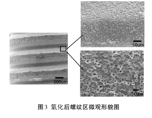 1633774631791827.jpg t3.jpg