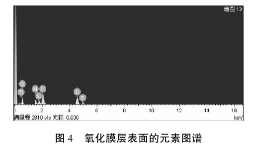 1633774647890475.jpg t4.jpg