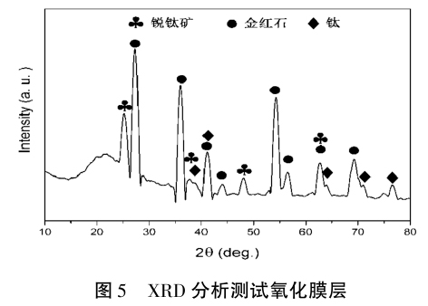 1633774658921611.jpg t5.jpg