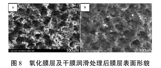 1633774708782040.jpg t8.jpg