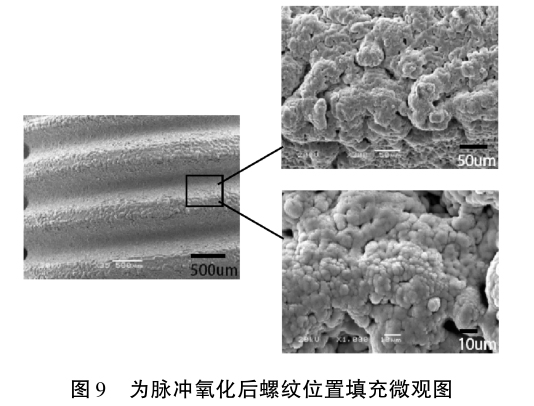 1633774716528615.jpg t9.jpg