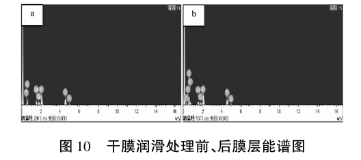 1633774725894448.jpg t10.jpg