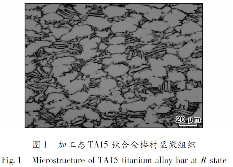 1660484666664697.jpg t1.jpg