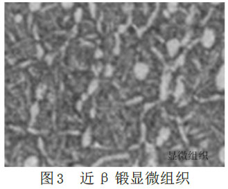 1677364870899699.jpg 3.jpg