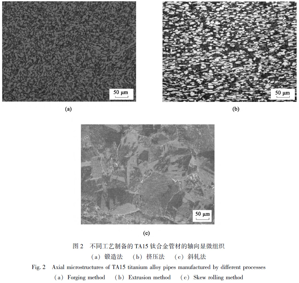 1678313077672385.jpg t2.jpg