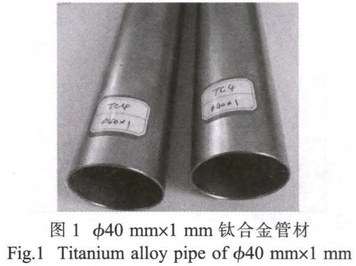 1681621187664368.jpg t1.jpg