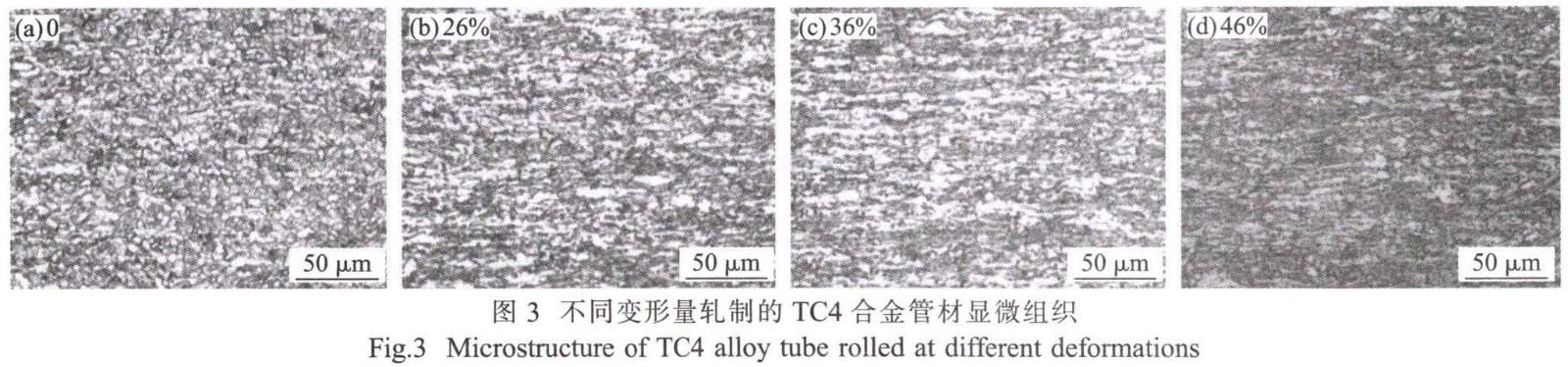 1681621206225007.jpg t3.jpg