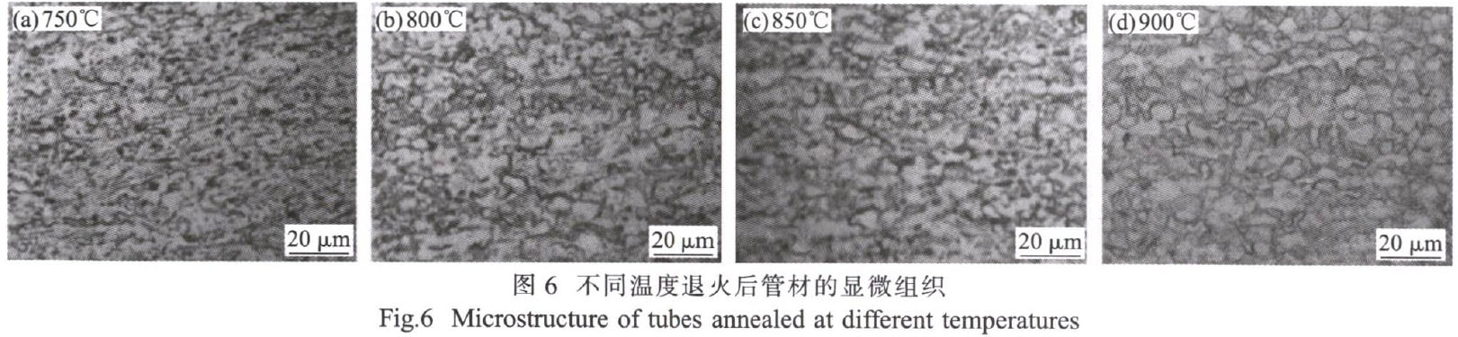 1681621231453565.jpg t6.jpg