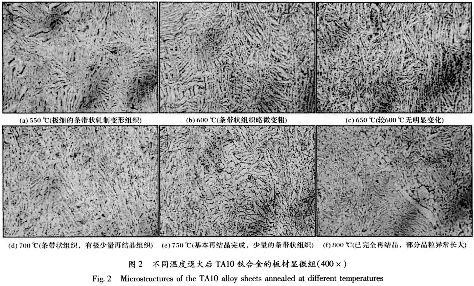 1687597265767964.jpg t2.jpg