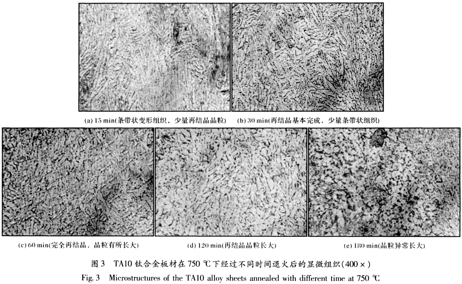 1687597300233680.jpg t3.jpg