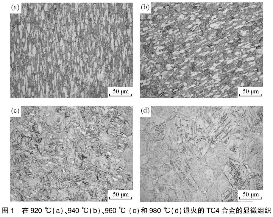 1687600641167383.jpg 360截圖16331126539053.jpg