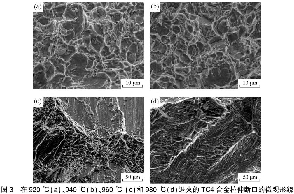 1687600662252356.jpg 360截圖16591006479887.jpg