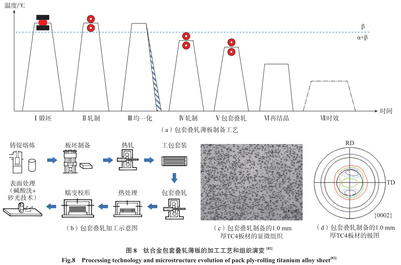 1692068807914462.jpg t8.jpg