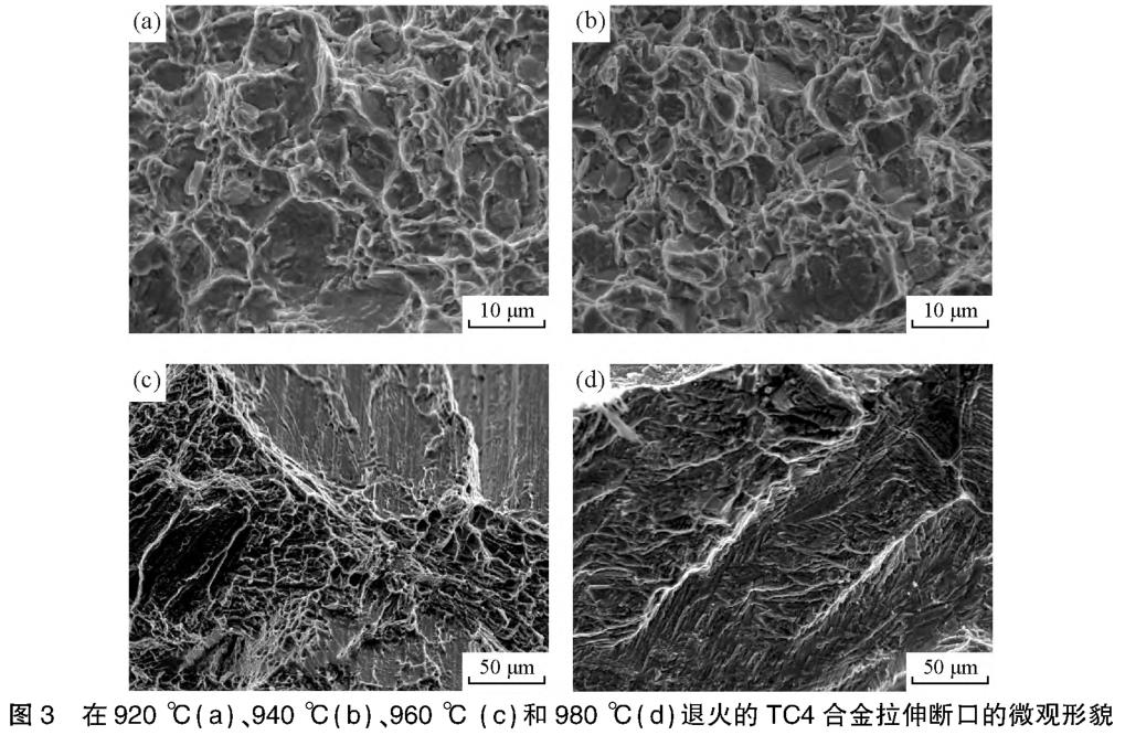 1694384572714040.jpg t3.jpg