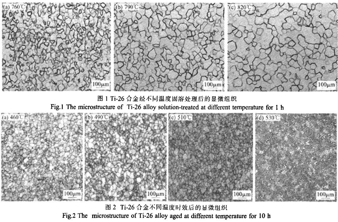 1700535890389037.jpg t1-2.jpg