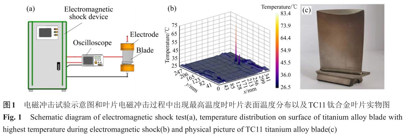 1700550949419165.jpg t1.jpg