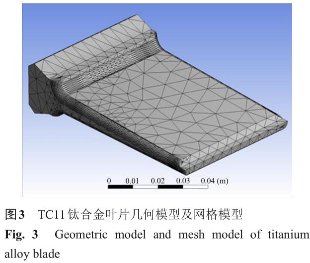 1700550989843019.jpg t3.jpg