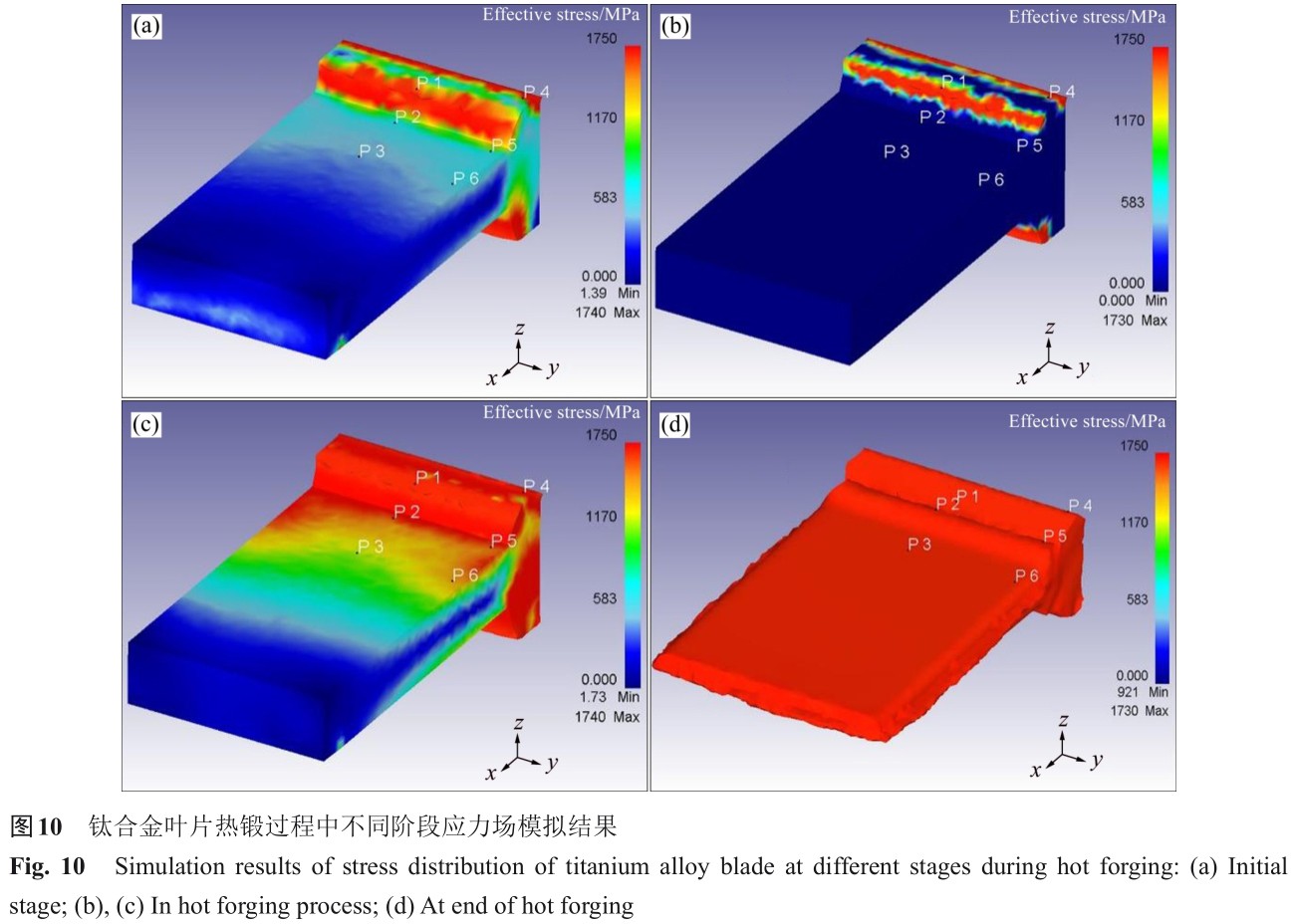 1700551072997294.jpg t10.jpg