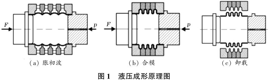 1701943126876611.jpg t1.jpg