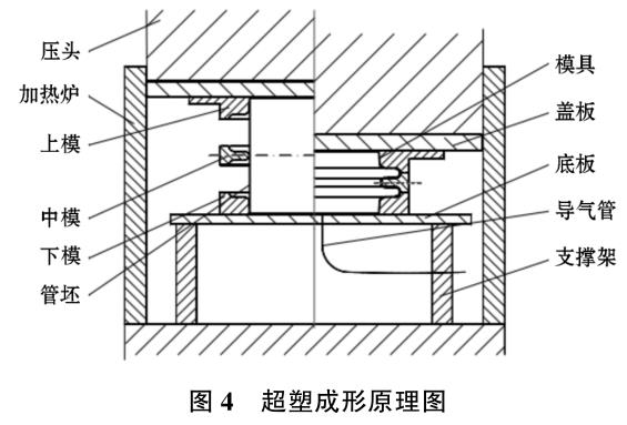 1701943155773129.jpg t4.jpg