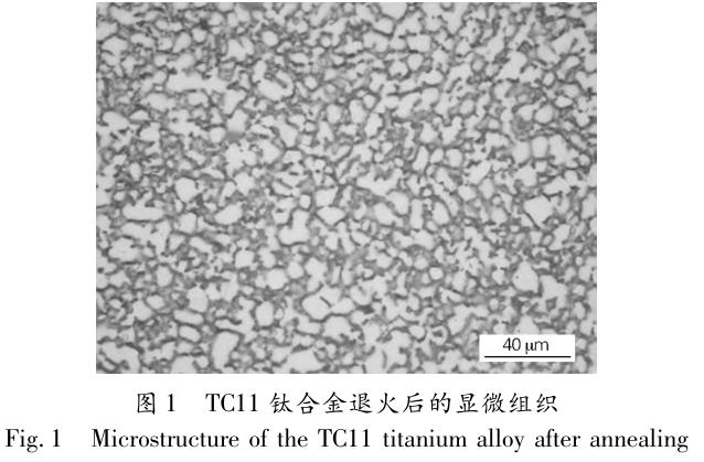 1705848747441820.jpg t1.jpg