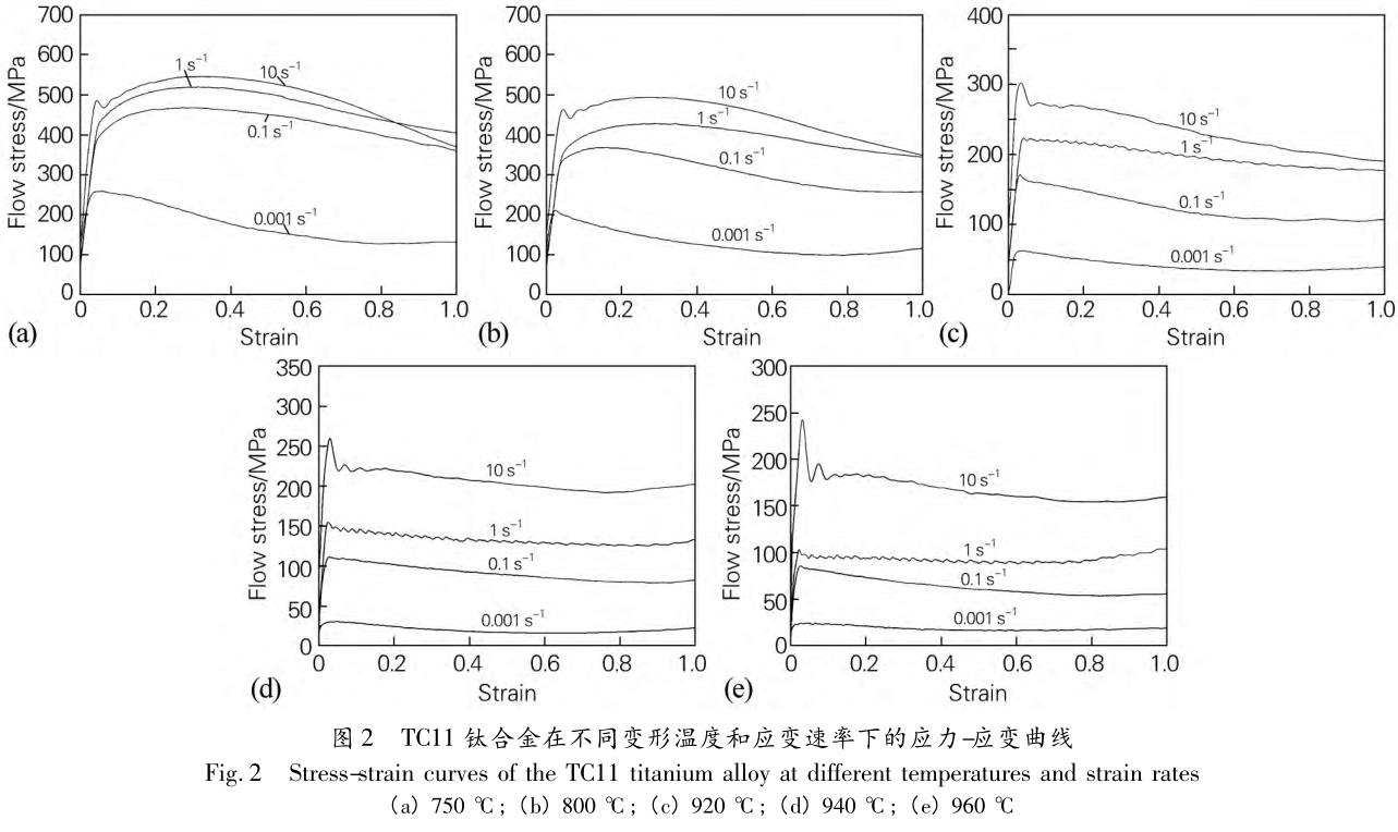 1705848755139369.jpg t2.jpg