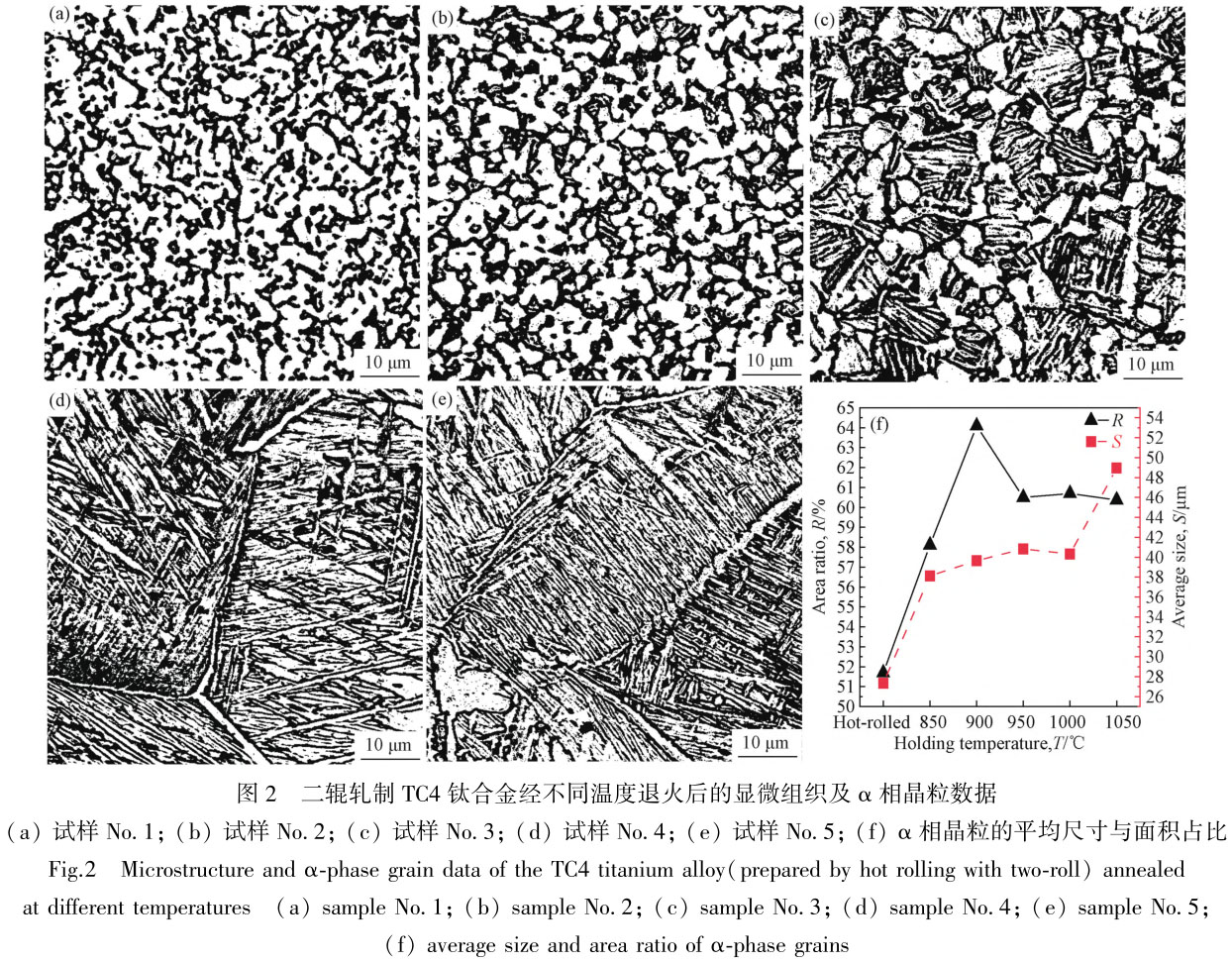 1705876455635452.jpg t2.jpg