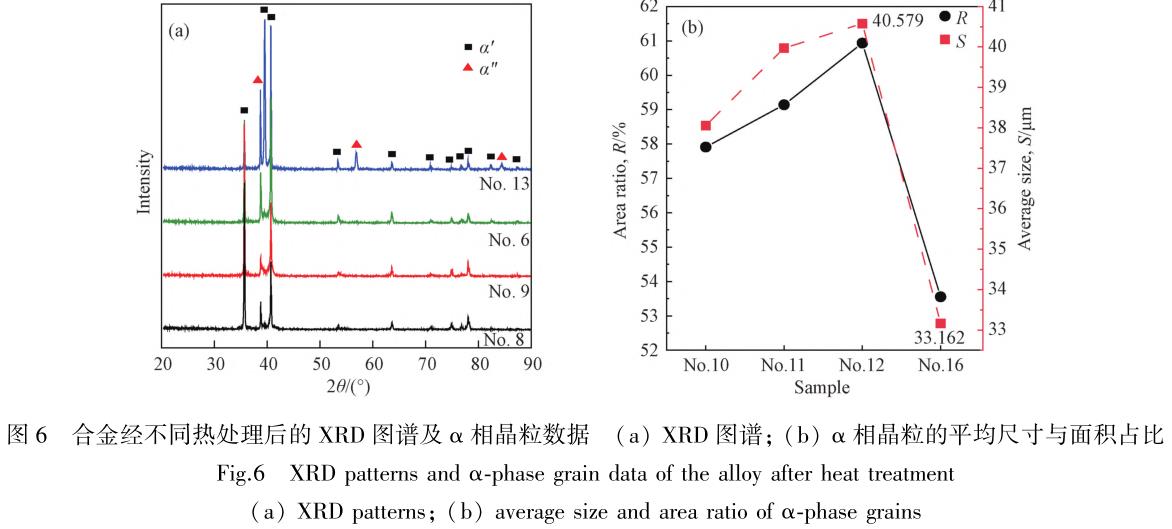 1705876496733805.jpg t6.jpg