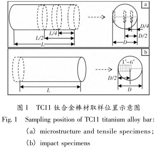 1708396659242061.jpg t1.jpg